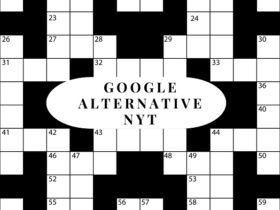 Google Alternative NYT