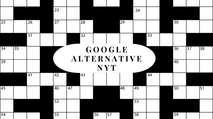 Google Alternative NYT