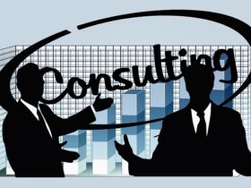 Franchise Consulting