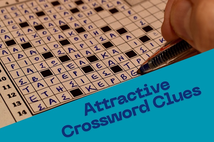 Attractive Crossword Clues